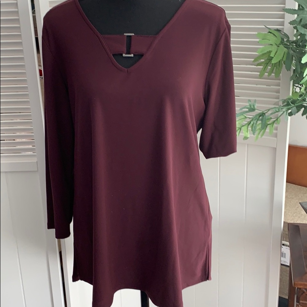 Alfani eggplant 🍆 colored tunic.